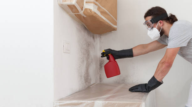 Professional Hvac And Air Duct Mold Remediation technician working in Bayport, NY